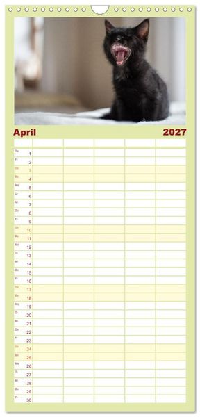 Produktbild: Familienplaner 2027 - Kitten auf Entdeckungsreise mit 5 Spalten (Wandkalender, 21 x 45 cm) CALVENDO