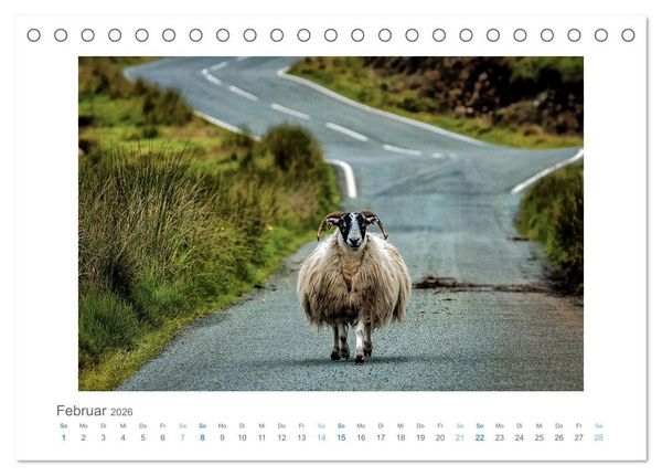 Produktbild: Street Moments (Tischkalender 2026 DIN A5 quer), CALVENDO Monatskalender