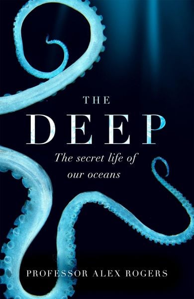The Deep, Taschenbuch von Alex Rogers, Headline, 978-1-4722-5393-4