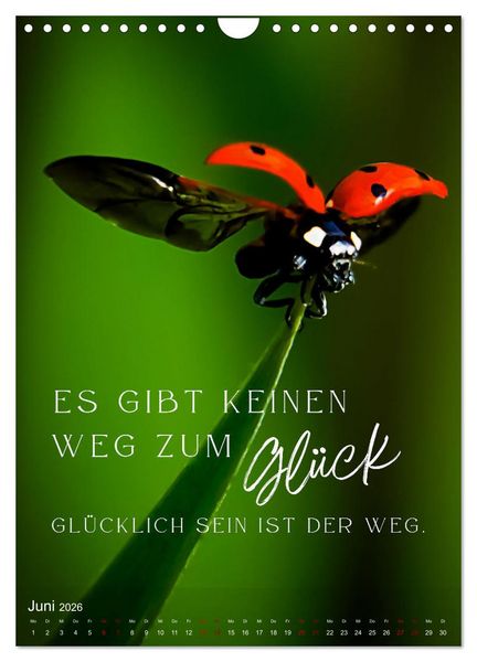 Produktbild: ICH W&Uuml;NSCHE DIR GL&Uuml;CK - 12 Monate mit inspirierenden Gl&uuml;ckszitaten (Wandkalender 2026 DIN A4 hoch), CALVENDO Monatskalender