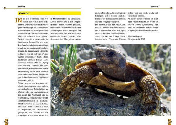 Produktbild: Die Spaltenschildkr&ouml;te