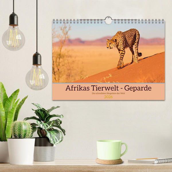 Produktbild: Afrikas Tierwelt - Geparde (Wandkalender 2026 DIN A4 quer), CALVENDO Monatskalender
