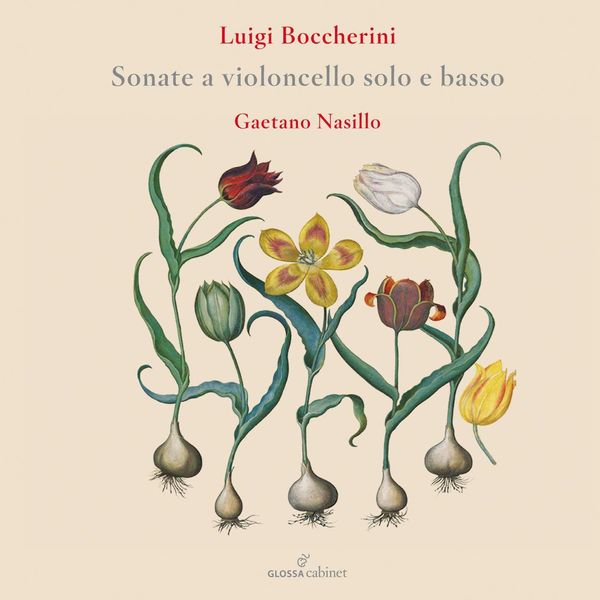 Produktbild: Flute Concertos