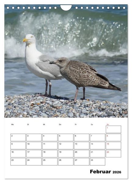 Produktbild: Einzigartige Insel Helgoland (Wandkalender 2026 DIN A4 hoch), CALVENDO Monatskalender