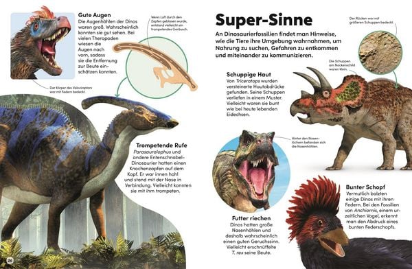 Produktbild: Memo Wissen Kids. Dinosaurier