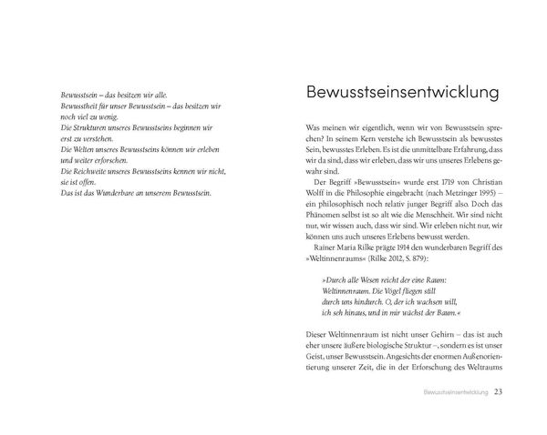 Produktbild: Die Seele des Psychotherapeuten