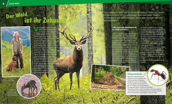 Produktbild: WAS IST WAS Band 134 Wald. Mehr als nur Bäume