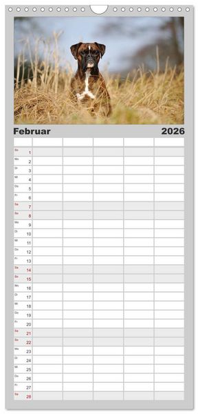 Produktbild: Familienplaner 2026 - Gut - besser - Boxer mit 5 Spalten (Wandkalender, 21 x 45 cm) CALVENDO