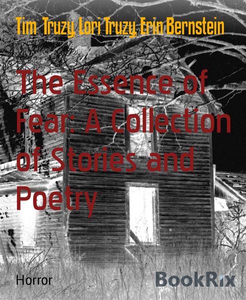 Produktbild: The Essence of Fear: A Collection of Stories and Poetry