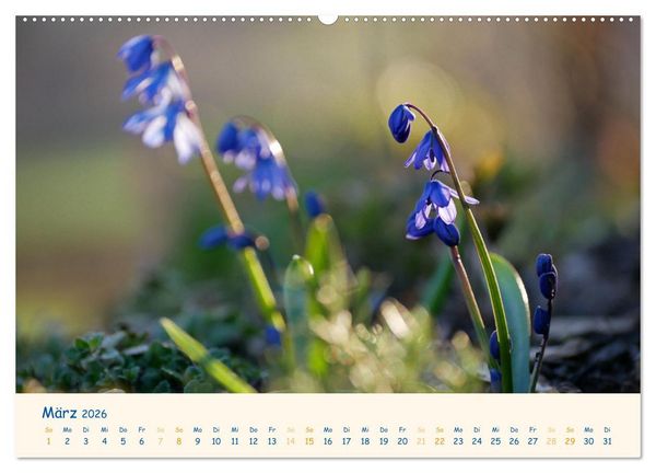 Produktbild: Naturwunder Bl&uuml;ten (hochwertiger Premium Wandkalender 2026 DIN A2 quer), Kunstdruck in Hochglanz