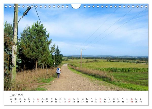Produktbild: Jakobsweg - Camino Finisterre (Wandkalender 2026 DIN A4 quer), CALVENDO Monatskalender