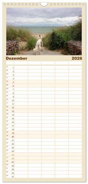 Produktbild: Familienplaner 2026 - Der Silken Windsprite - ein Seelenhund mit 5 Spalten (Wandkalender, 21 x 45 cm) CALVENDO