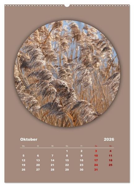 Produktbild: Rundherum Natur (hochwertiger Premium Wandkalender 2026 DIN A2 hoch), Kunstdruck in Hochglanz