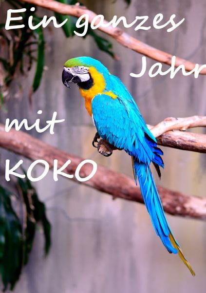 Produktbild: Ein ganzes Jahr mit Koko