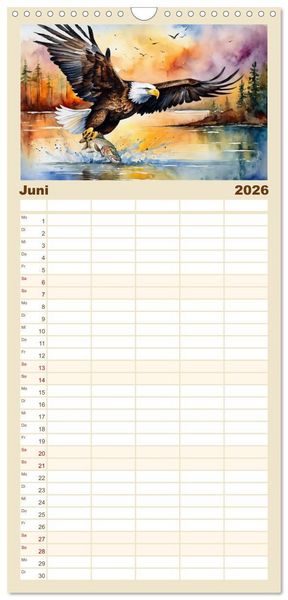 Produktbild: Familienplaner 2026 - Wei&szlig;kopfseeadler - Majest&auml;tische V&ouml;gel mit 5 Spalten (Wandkalender, 21 x 45 cm) CALVENDO