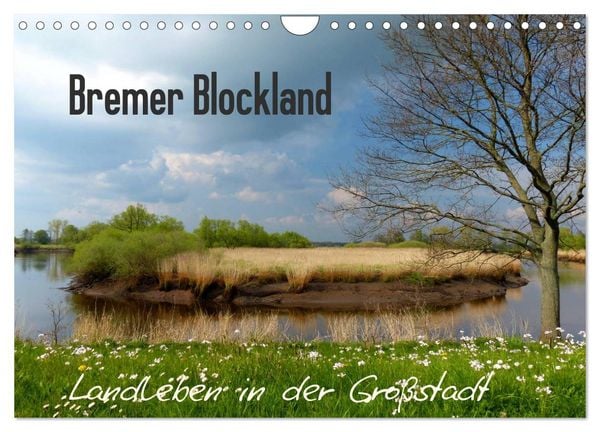 Produktbild: Bremer Blockland - Landleben in der Gro&szlig;stadt (Wandkalender 2026 DIN A4 quer), CALVENDO Monatskalender