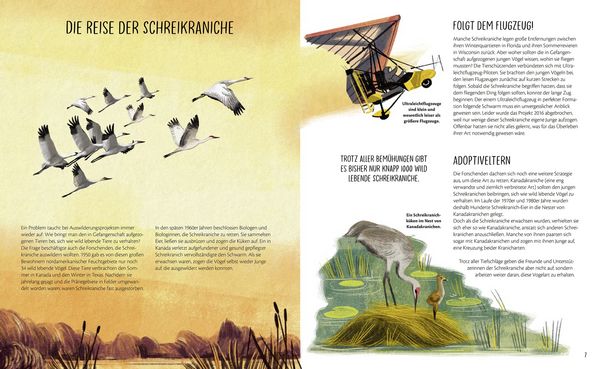 Produktbild: Zur&uuml;ck in die Wildnis