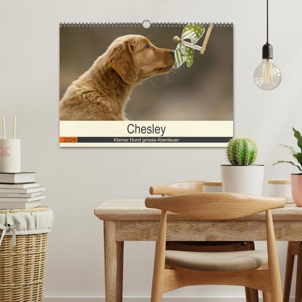 Produktbild: Chesley Kleiner Hund grosse Abenteuer (Wandkalender 2026 DIN A3 quer), CALVENDO Monatskalender