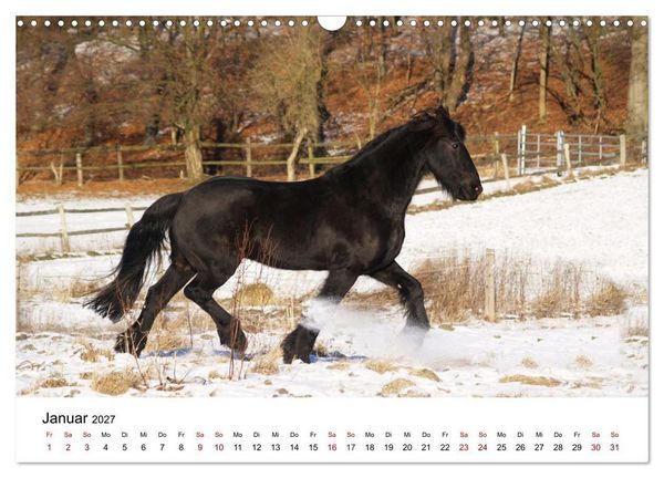 Produktbild: PFERDE - Zwischen Himmel, Erde und Hufschlag (Wandkalender 2027 DIN A3 quer), CALVENDO Monatskalender