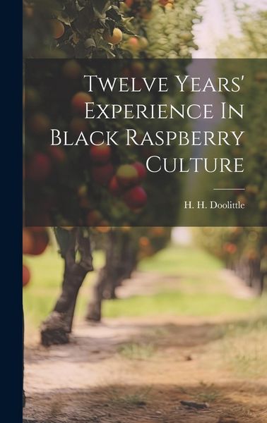 Produktbild: Twelve Years' Experience In Black Raspberry Culture
