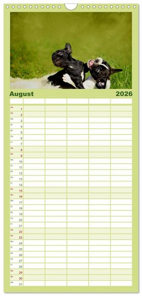 Produktbild: Familienplaner 2026 - Franz&ouml;sische Bulldoggen mit 5 Spalten (Wandkalender, 21 x 45 cm) CALVENDO