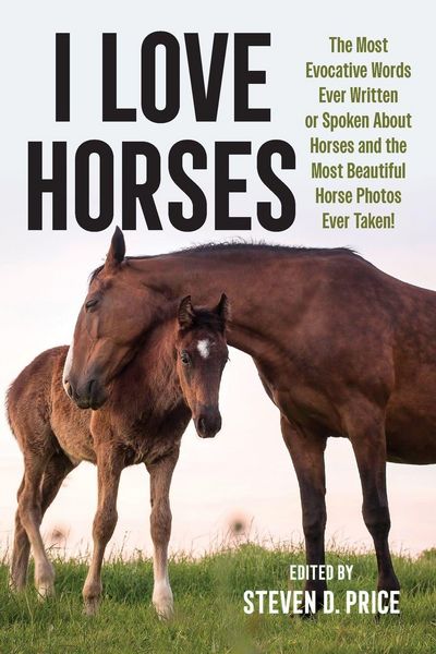 Produktbild: I Love Horses