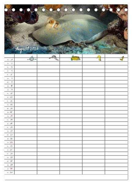 Produktbild: Der Unterwasser Familienplaner 2026 (Tischkalender 2026 DIN A5 hoch), CALVENDO Monatskalender
