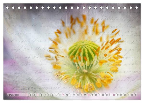 Produktbild: Vintage Nature - Romantische Naturaufnahmen (Tischkalender 2026 DIN A5 quer), CALVENDO Monatskalender
