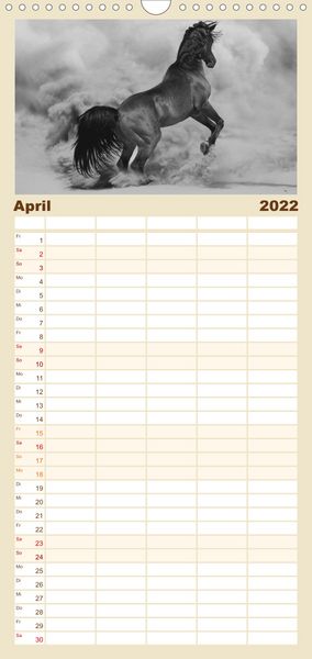 Produktbild: Familienplaner Arabische Pferde (Wandkalender 2022 , 21 cm x 45 cm, hoch)