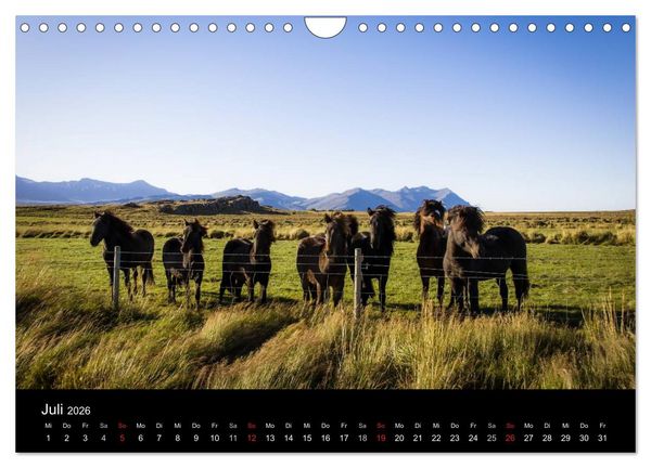 Produktbild: Island (Wandkalender 2026 DIN A4 quer), CALVENDO Monatskalender