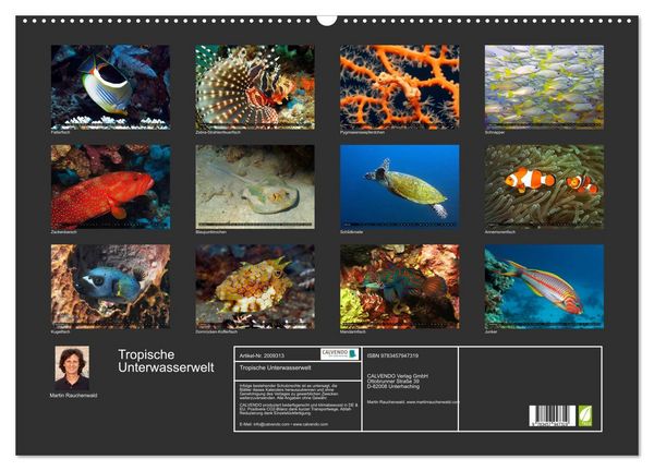 Produktbild: Tropische Unterwasserwelt (Wandkalender 2026 DIN A2 quer), CALVENDO Monatskalender