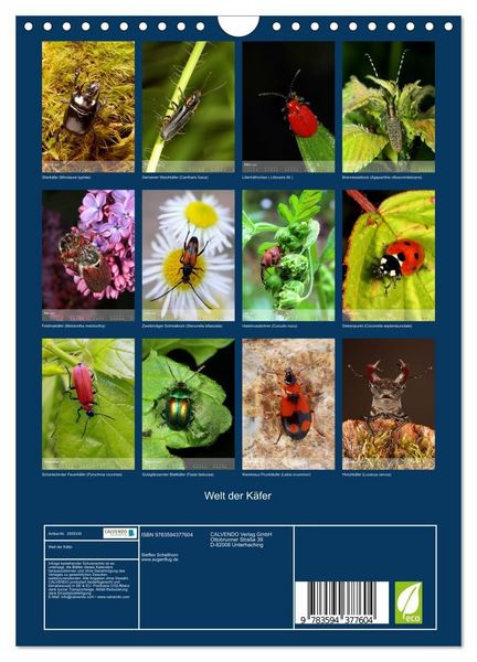 Produktbild: Welt der K&auml;fer (Wandkalender 2027 DIN A4 hoch), CALVENDO Monatskalender