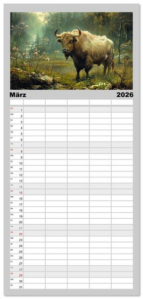 Produktbild: Familienplaner 2026 - Wilde Rinder mit 5 Spalten (Wandkalender, 21 x 45 cm) CALVENDO