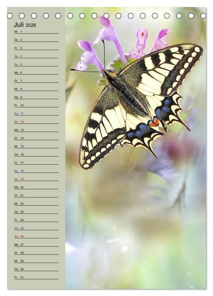 Produktbild: Pastell-Zauber (Tischkalender 2026 DIN A5 hoch), CALVENDO Monatskalender