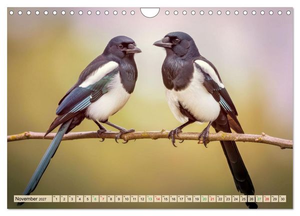 Produktbild: Die intelligentesten Tiere - Weltweit (Wandkalender 2027 DIN A4 quer), CALVENDO Monatskalender