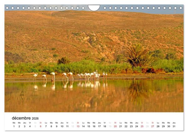 Produktbild: Maroc Au fil de l'eau (Calendrier mural 2026 DIN A4 vertical), CALVENDO calendrier mensuel