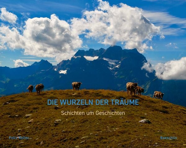 Produktbild: Die Wurzeln der Tr&auml;ume