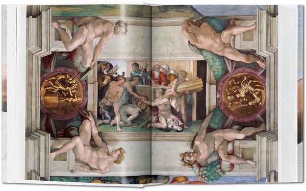 Produktbild: Michelangelo. Das vollst&auml;ndige Werk. Malerei, Skulptur, Architektur