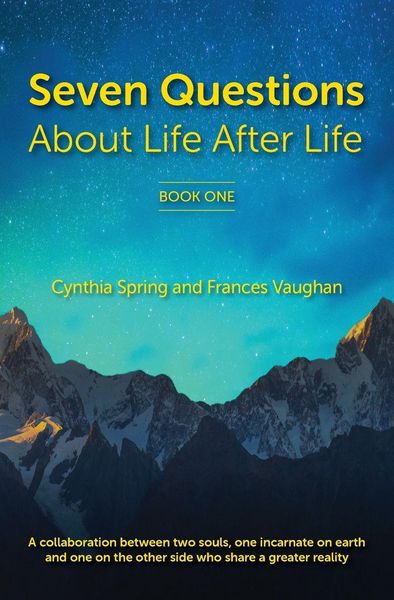 Produktbild: 7 Questions About Life After Life
