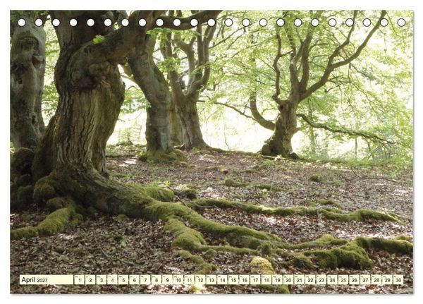 Produktbild: Zauberhaftes, die Natur als K&uuml;nstler (Tischkalender 2027 DIN A5 quer), CALVENDO Monatskalender