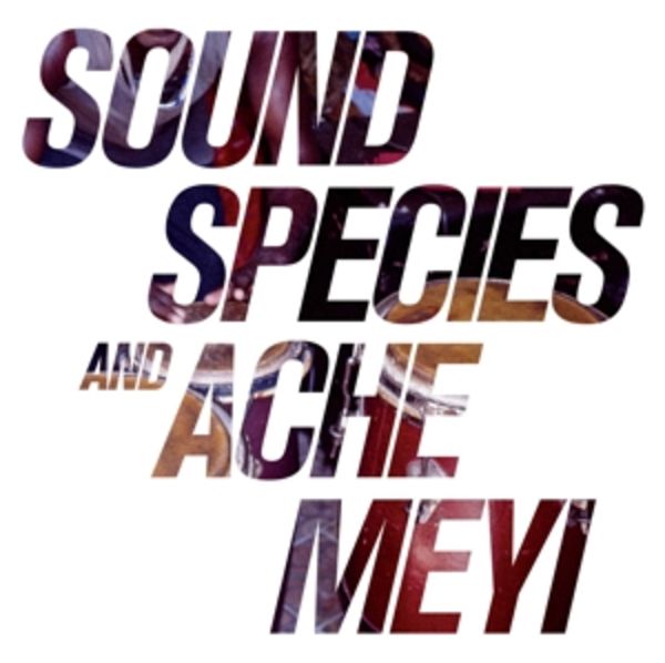 Soundspecies & Ache Meyi - Soundspecies,Ache Meyi, Vinyl