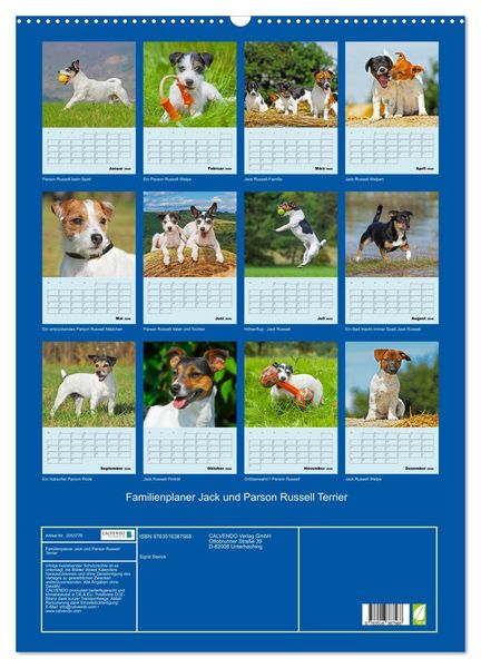 Produktbild: Familienplaner Jack und Parson Russell Terrier (Wandkalender 2026 DIN A2 hoch), CALVENDO Monatskalender