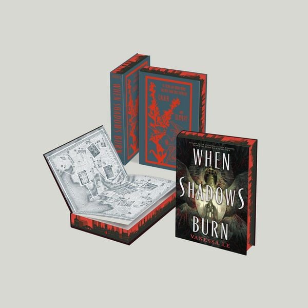 Produktbild: When Shadows Burn
