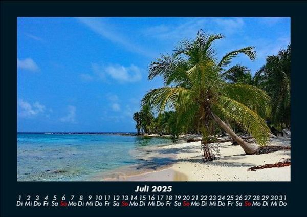 Produktbild: Palmentraum 2025 Fotokalender DIN A5