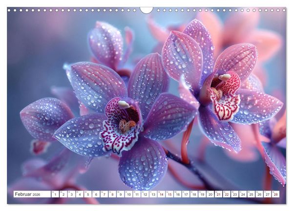 Produktbild: Orchideen - farbenfroh durchs Jahr (Wandkalender 2026 DIN A3 quer), CALVENDO Monatskalender