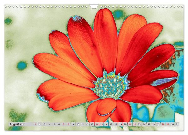 Produktbild: Blumen Pop-Art (Wandkalender 2027 DIN A3 quer), CALVENDO Monatskalender