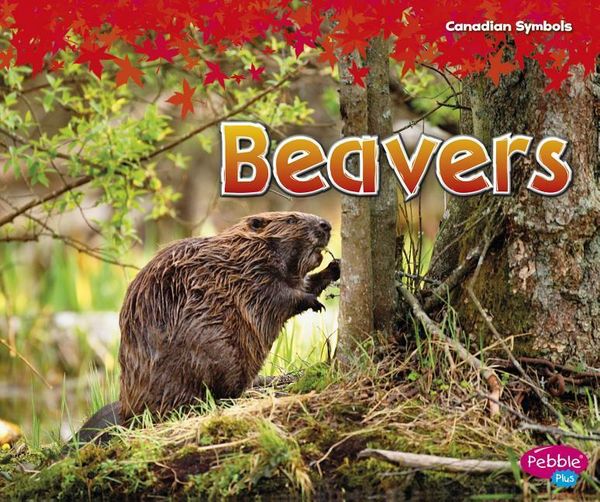 Produktbild: Beavers