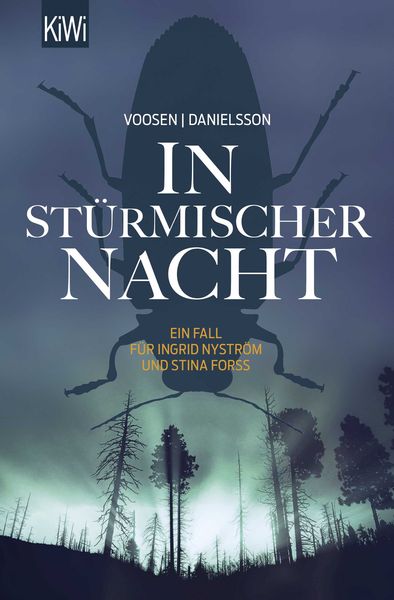 Produktbild: In st&uuml;rmischer Nacht