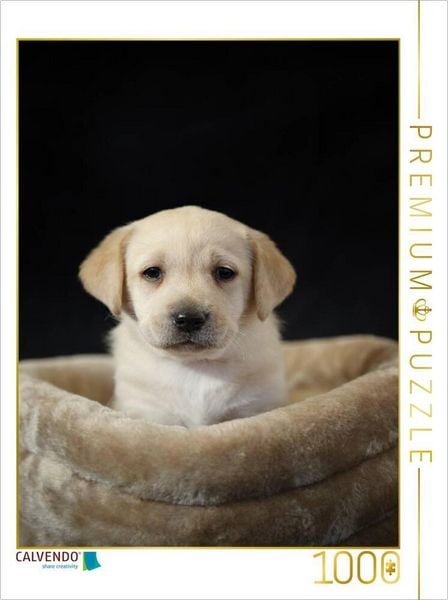 CALVENDO Puzzle Knuffiger Labrador Welpe | 1000 Teile Lege-Größe 64x48cm Foto-Puzzle für glückliche Stunden