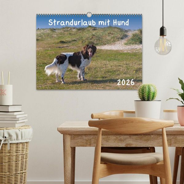 Produktbild: Strandurlaub mit Hund (Wandkalender 2026 DIN A3 quer), CALVENDO Monatskalender